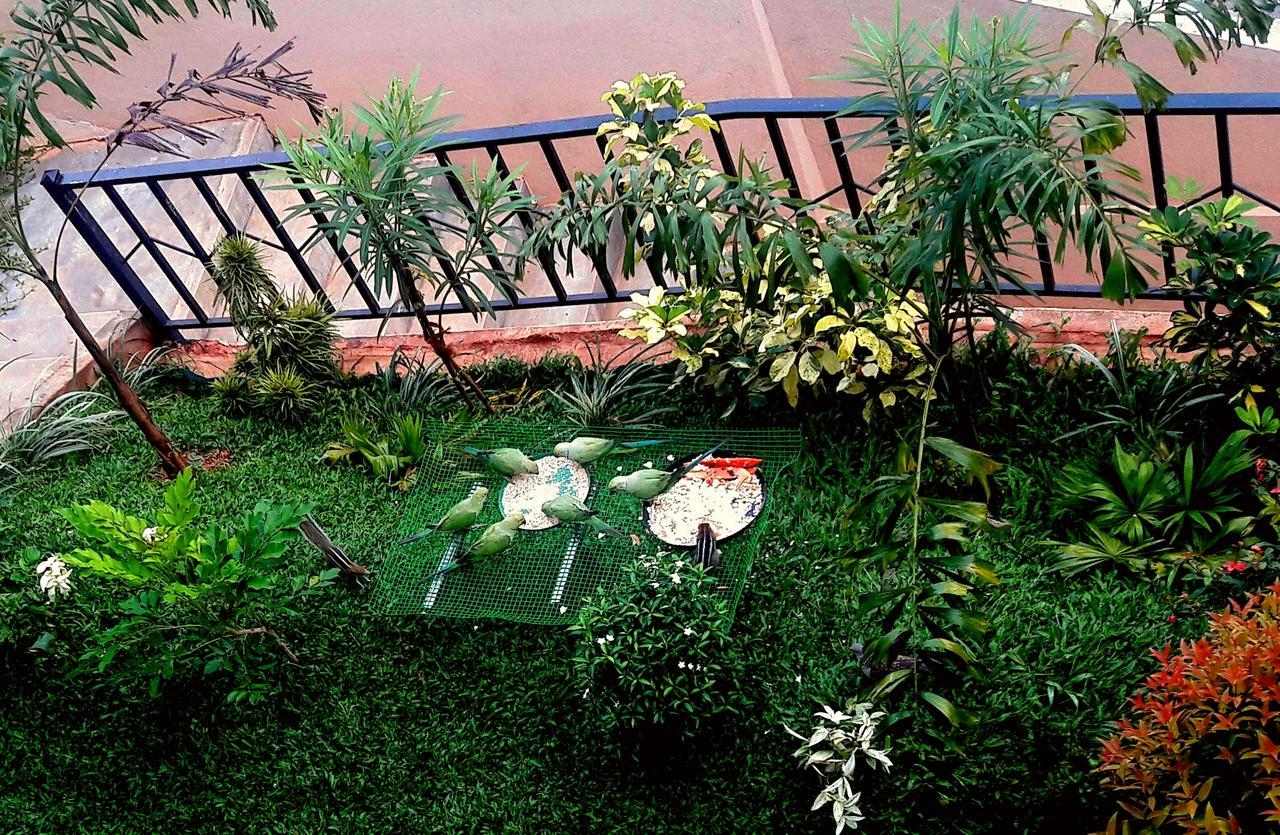 Saru Holiday Apartment - Up To 6 Guests Канди Экстерьер фото